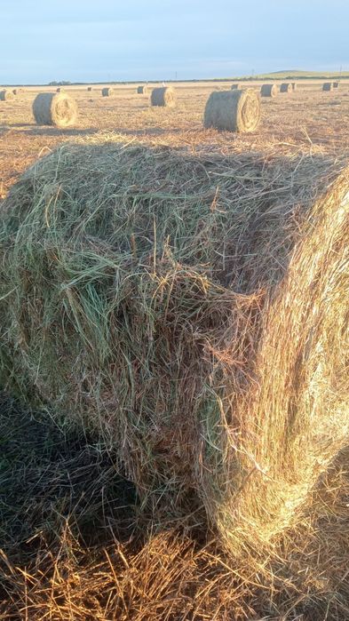 Продам сено по 6000