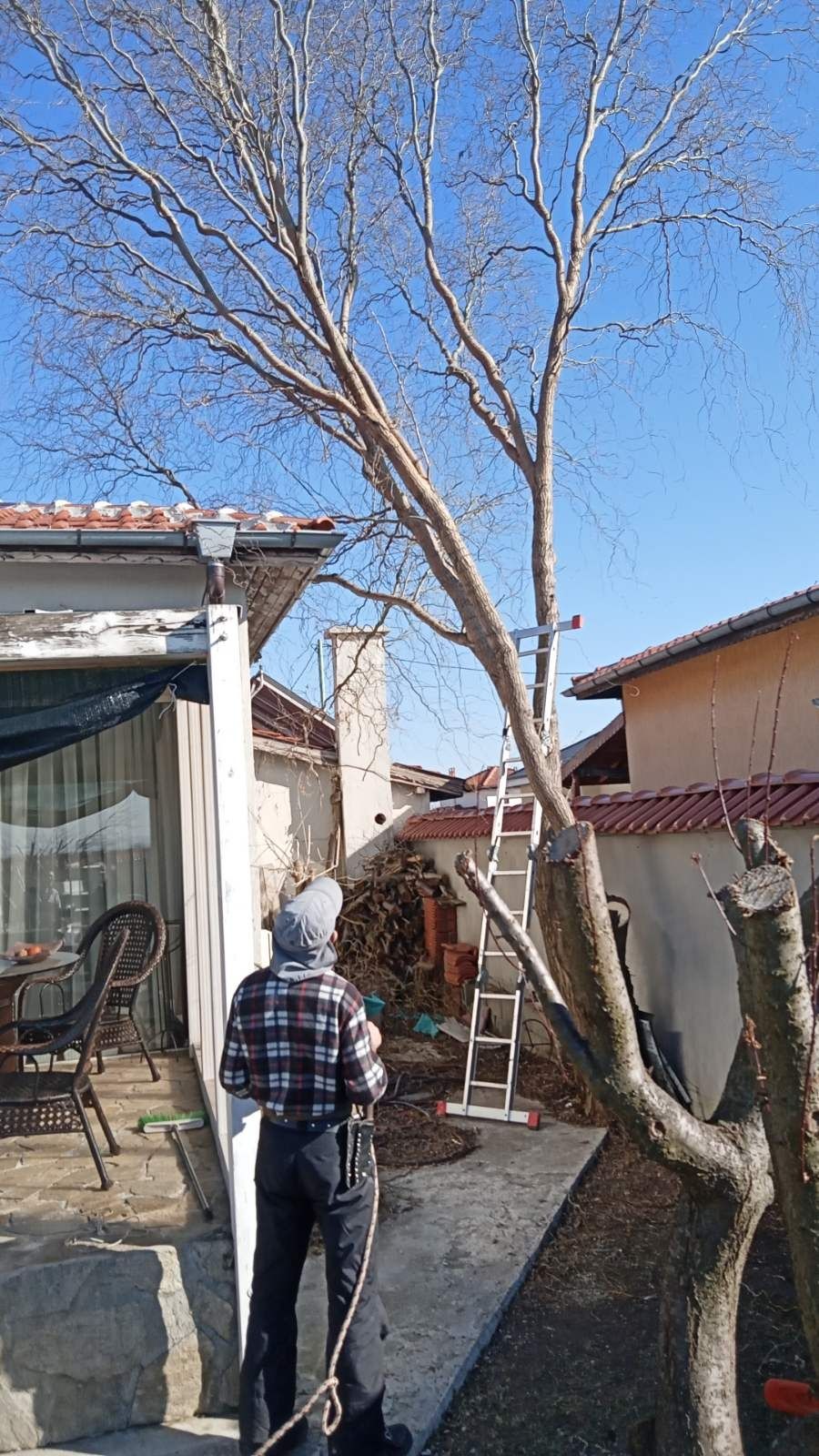 Рязане на опасни дървета, косене на трева,почистване на дворове