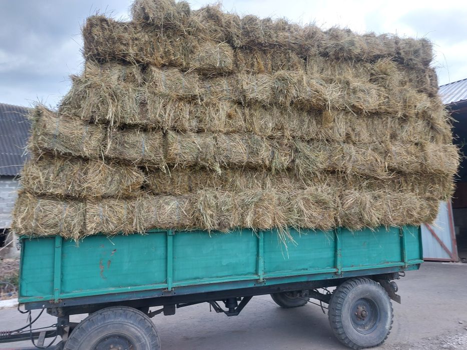 Vând baloți lucernă