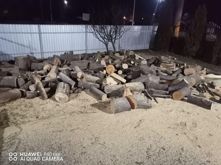 Tai lemne cu drujba