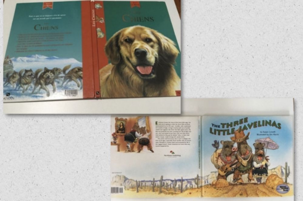 2 детски книжки на френски и английски език Les Chiens кучета