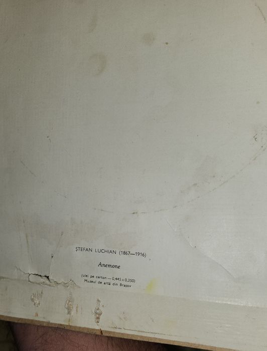Anemone tablou Stafan Luchian