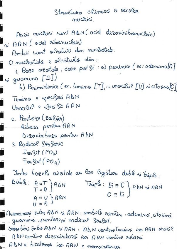 Materie Bacalaureat Real