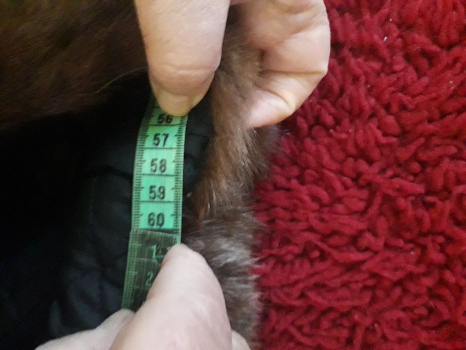 Мъжка шапка -естествена кожа