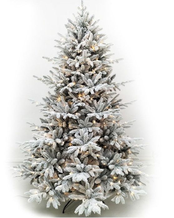 Ёлка северная натуральная