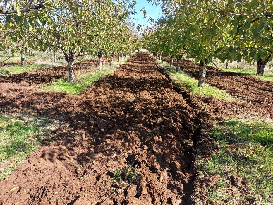 Обработка на овощни градини,ниви и др