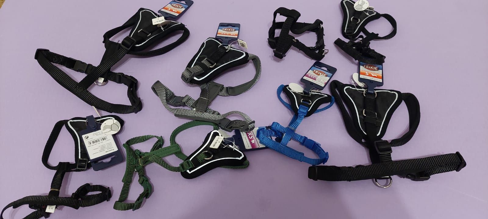 Hamuri pentru catei Superdog noi marimi XS-XL