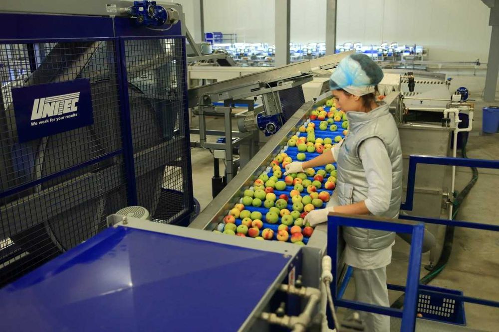 ПРОДАЁТСЯ Сортиров. и уп. линия UNICAL 600S OC. Unitec S.p.A (Италия)