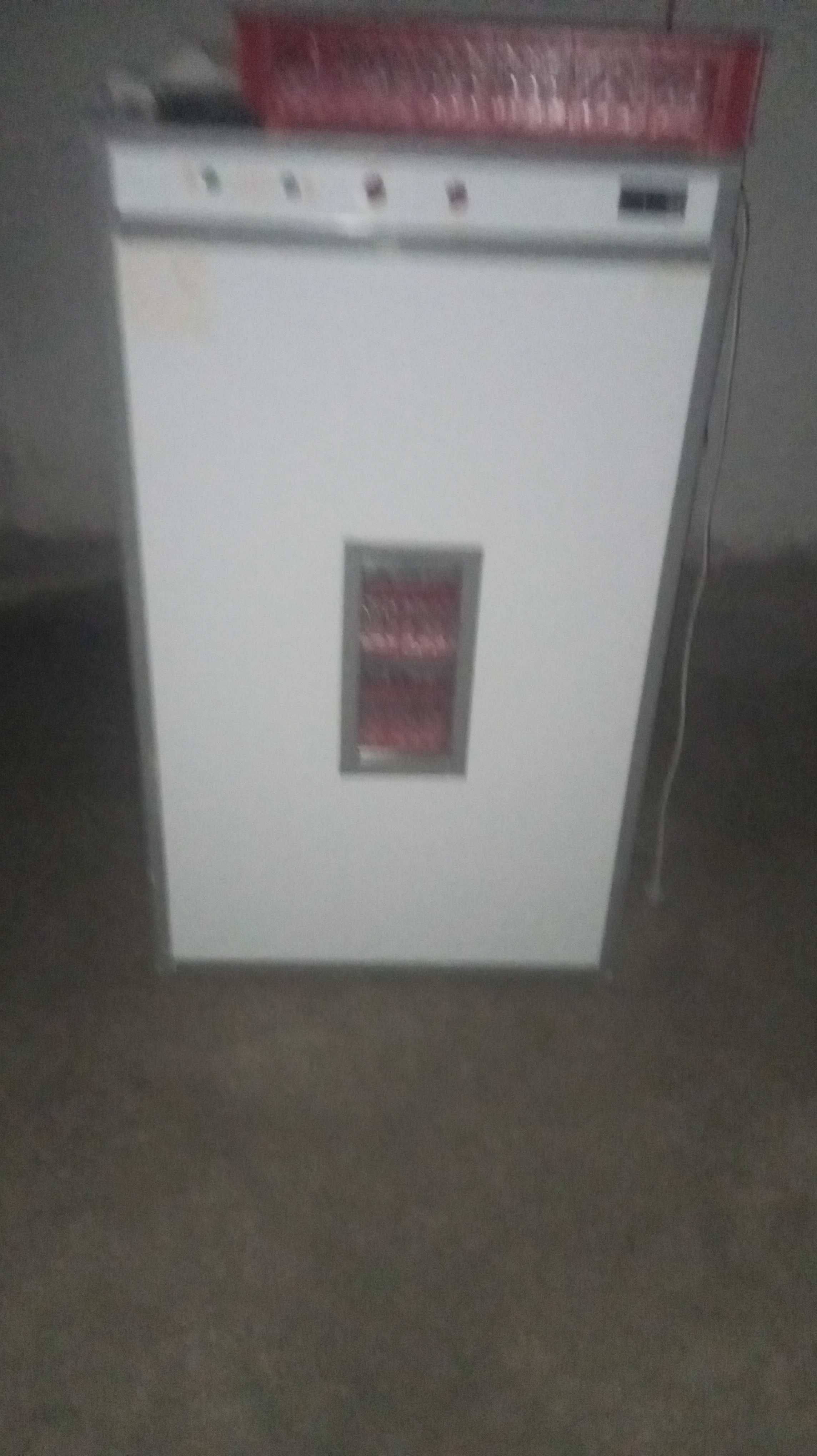 Inkubator 500 talik
