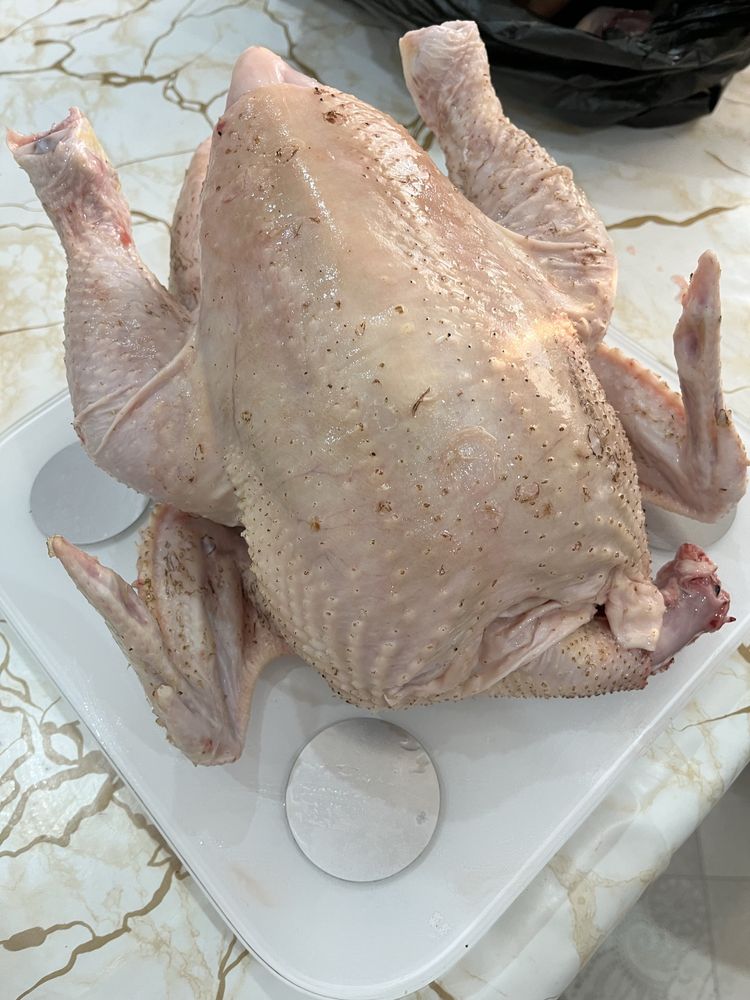 Бройлера мясо , курица мясо