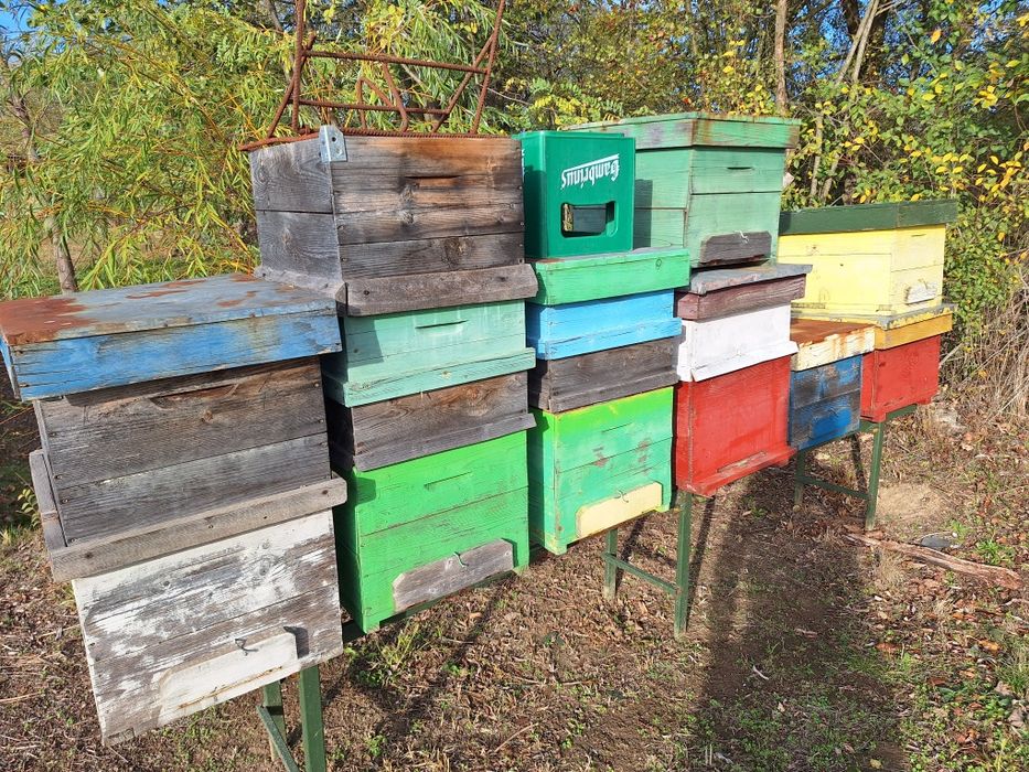 Cutii de stupi in stare buna!