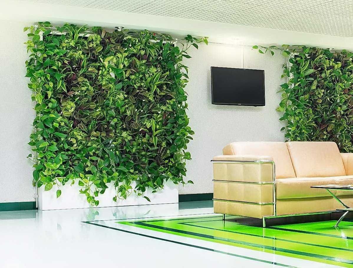 Искусственные растения на стену, озеленение стен, зеленый самшит