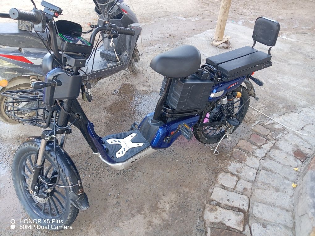 Squter yangi holati alo