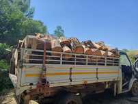 Vand Lemne de Foc de orice esenta  
Stejar 700 
Salcam 700
Plop 450
Sa