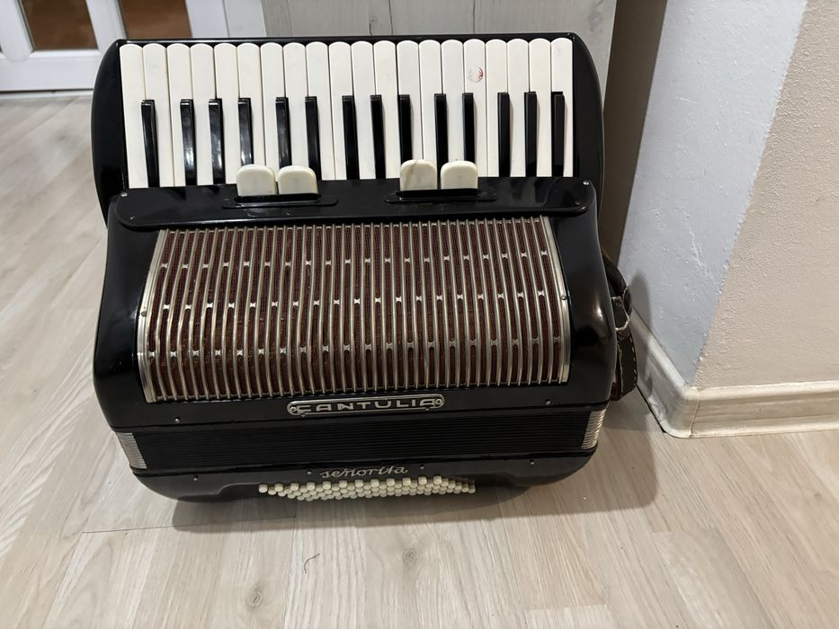Vand acordeon Cantulia cu 72 de basi