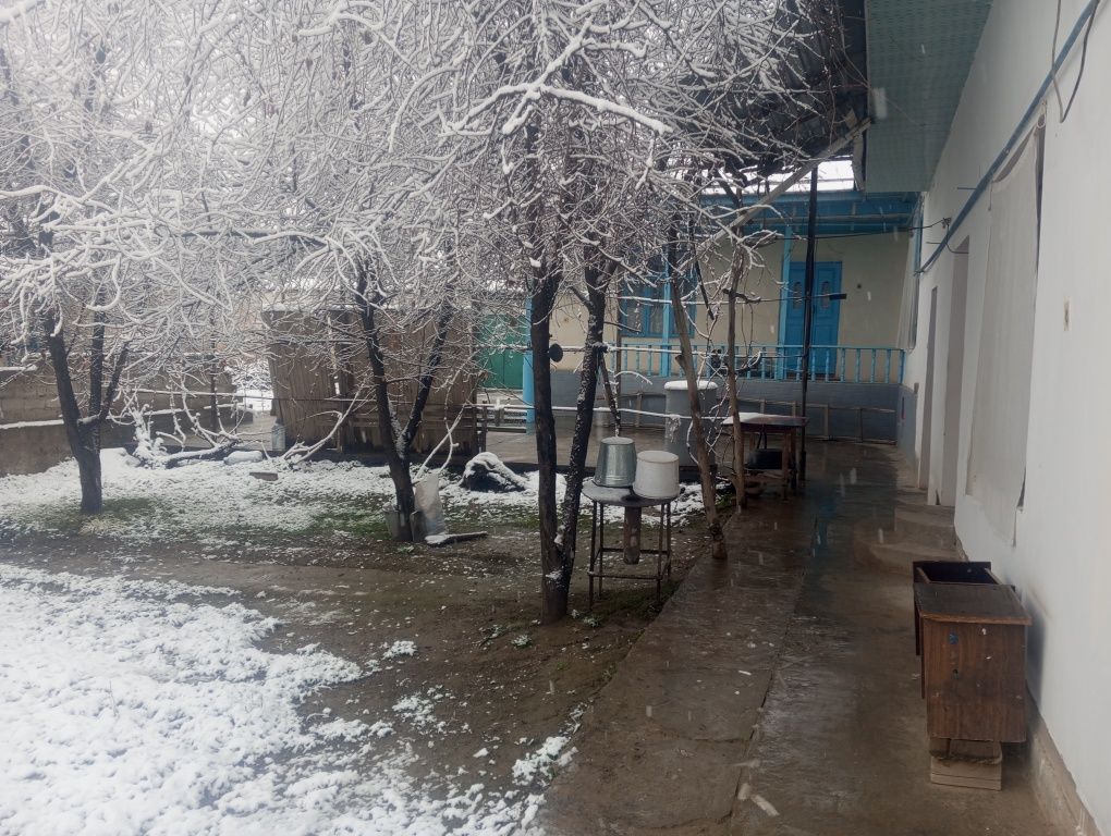 Toshkent viloyati Toshkent tumani.