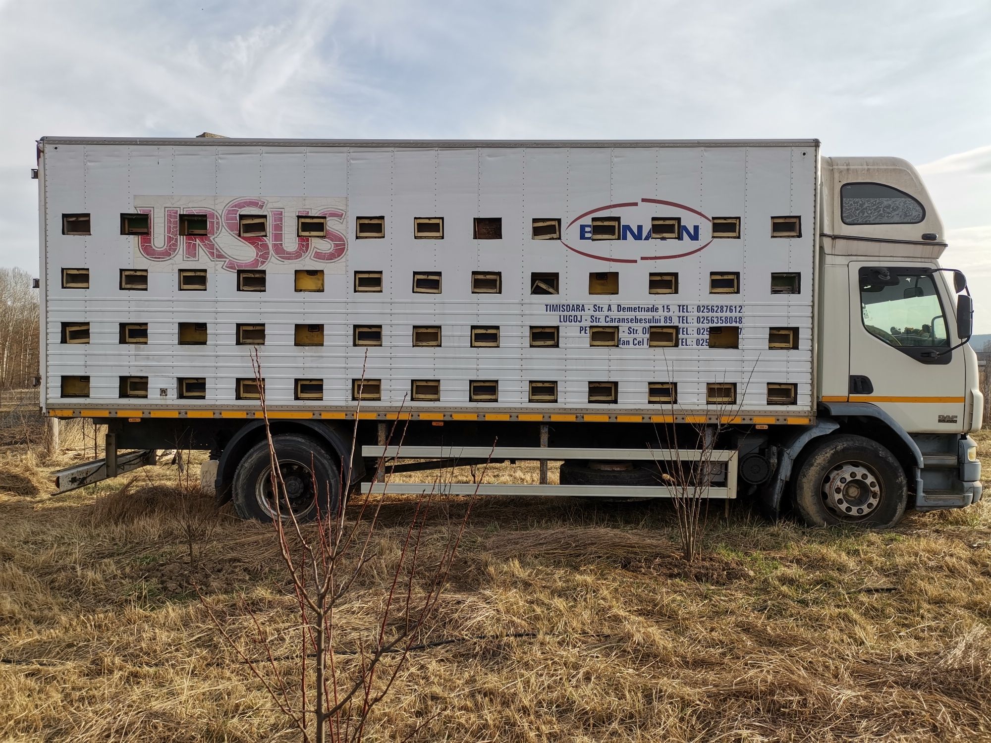 Camion apicol daf