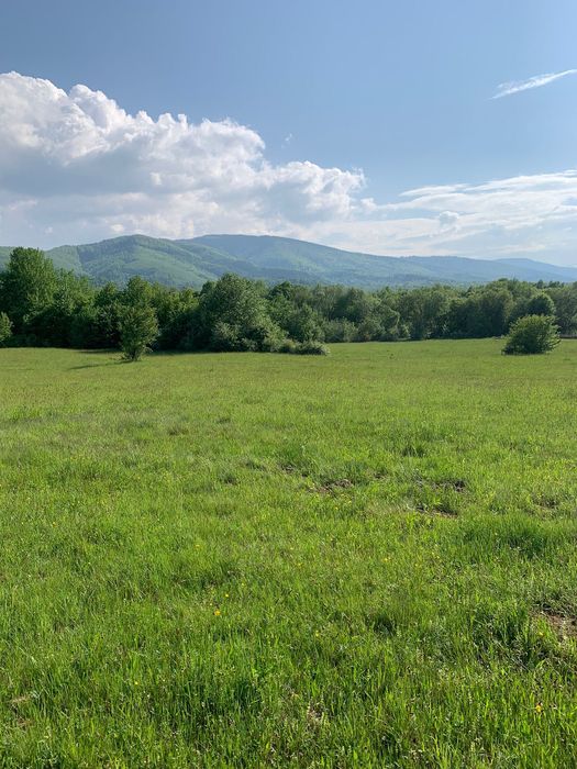 Teren extravilan pe valea Sebesului