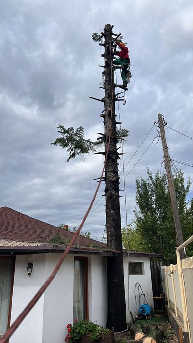 Alpinisti utilitari!Executam diferite lucrari la inaltime!!