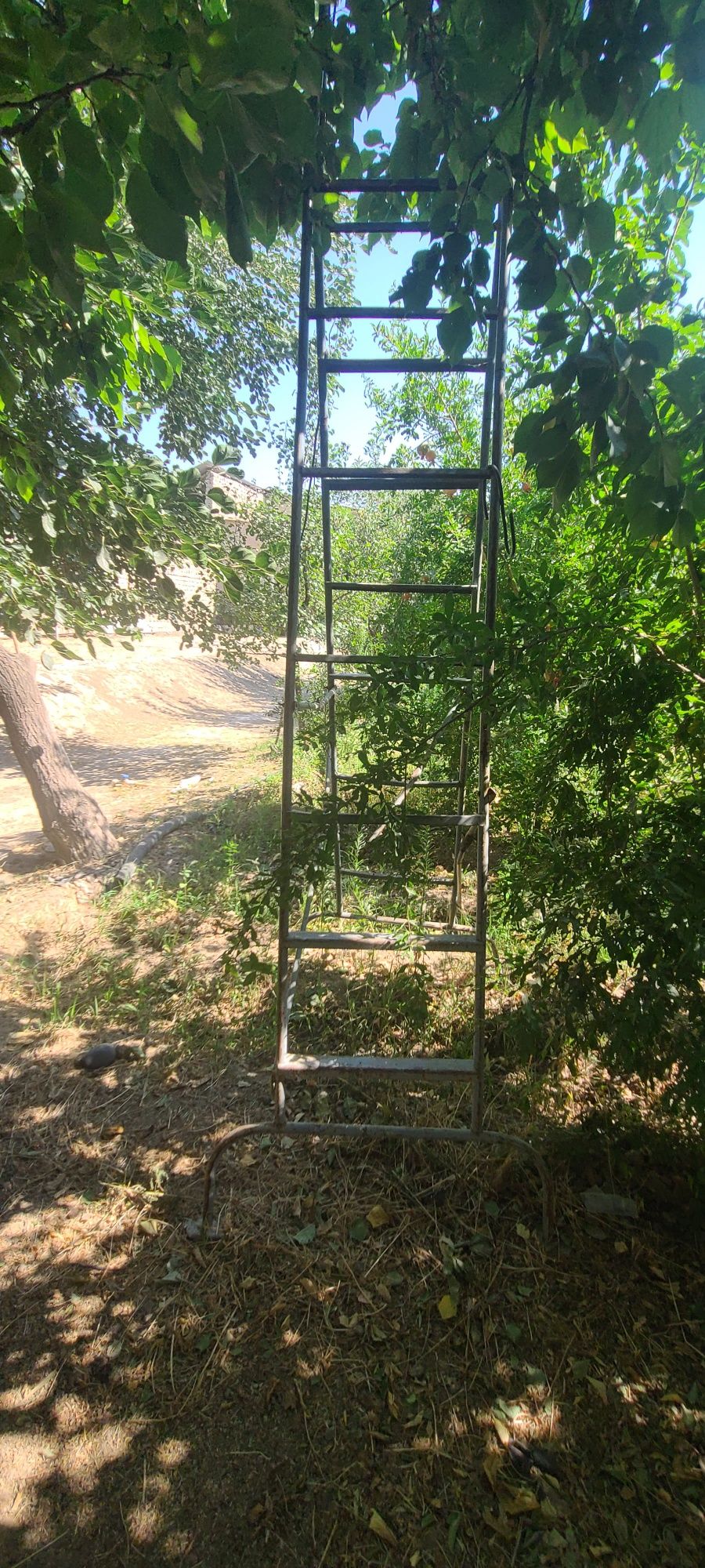 Нарвон сотилади...