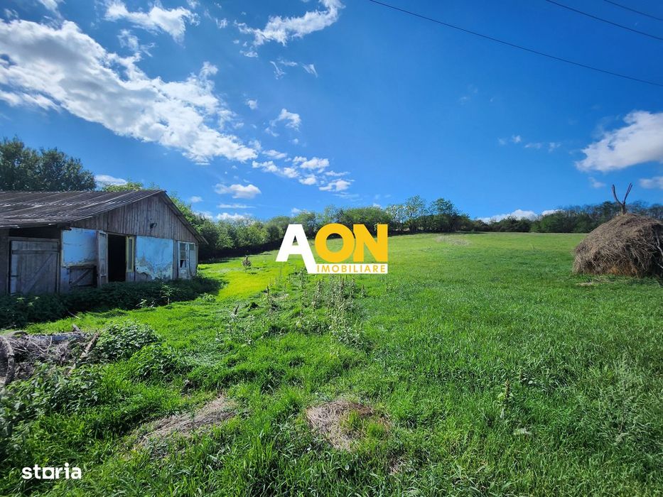 De vanzare 2965 mp teren intravilan, toate utilitatile, Oarda de Sus