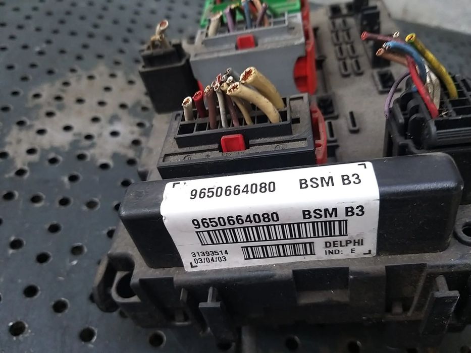 Panou sigurante bsm b3 peugeot 307 9650664080