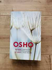 Carte Osho - Aici si Acum, dincolo de dualitatea viata-moarte
