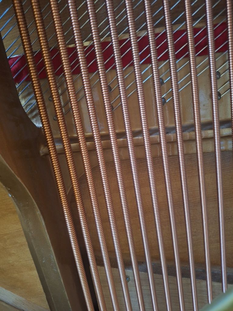 Pianina Ritmüler