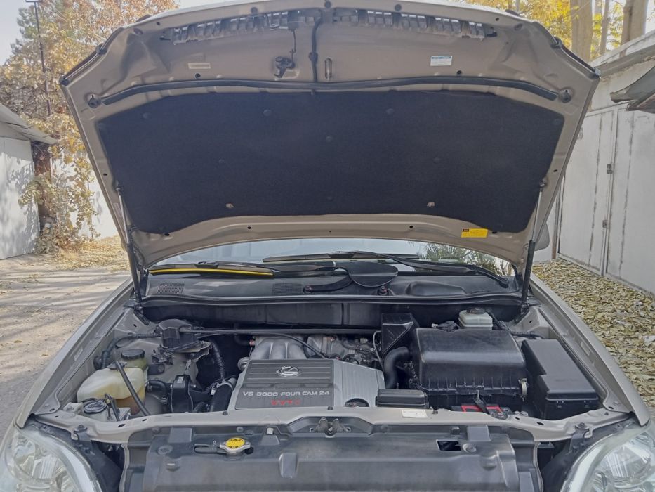 Lexus  RX-300. Крассовер.