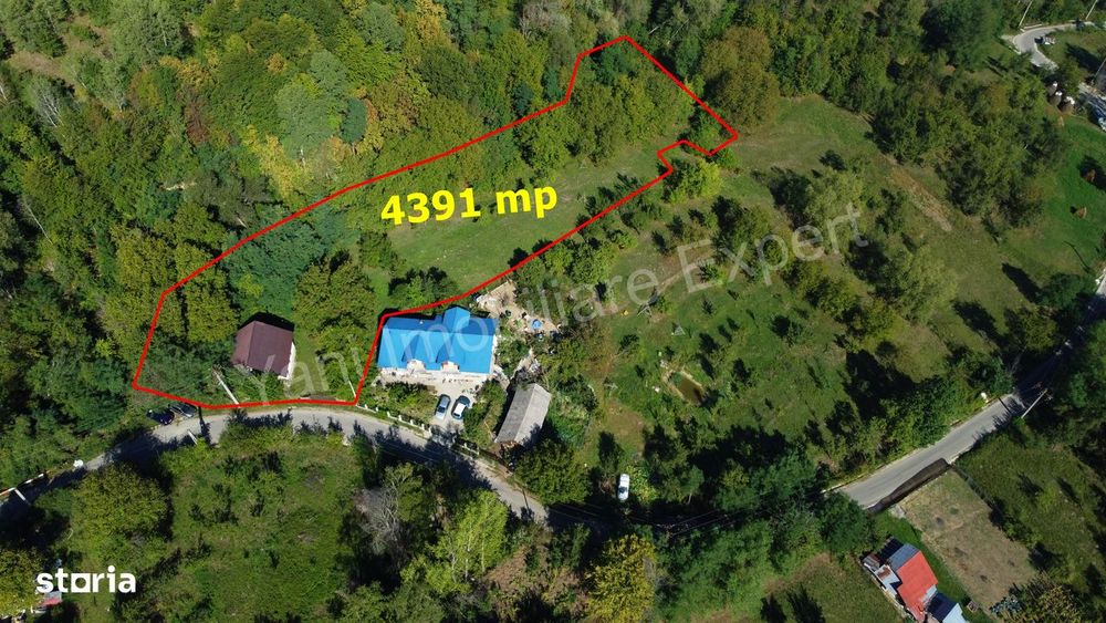 Casă + 4391 mp teren de vânzare în comuna Valea Danului, județ Argeș.