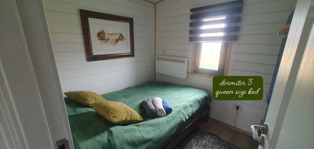 Cazare cu caini regim hotelier Oradea