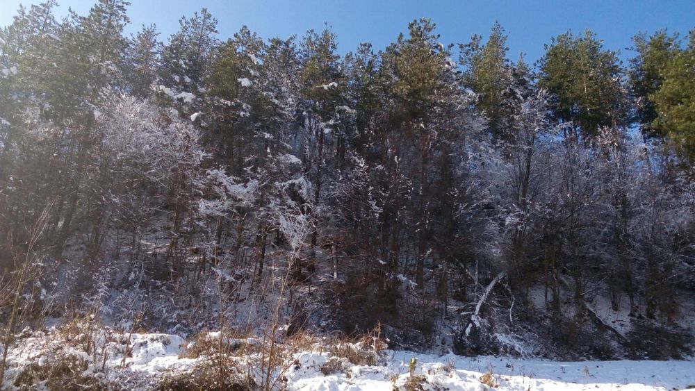 Имот в Рудозем - на първа линия по новостроящия се път Рудозем-Ксанти