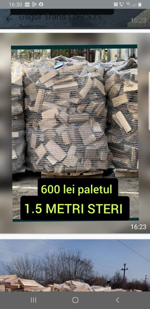 Lemne de foc din esența tare STEJAR CER FAG