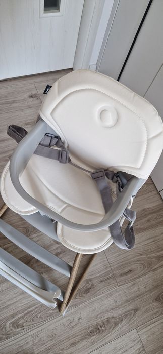 Set balansoar si scaun de masa pentru copii, Lionelo Dalia