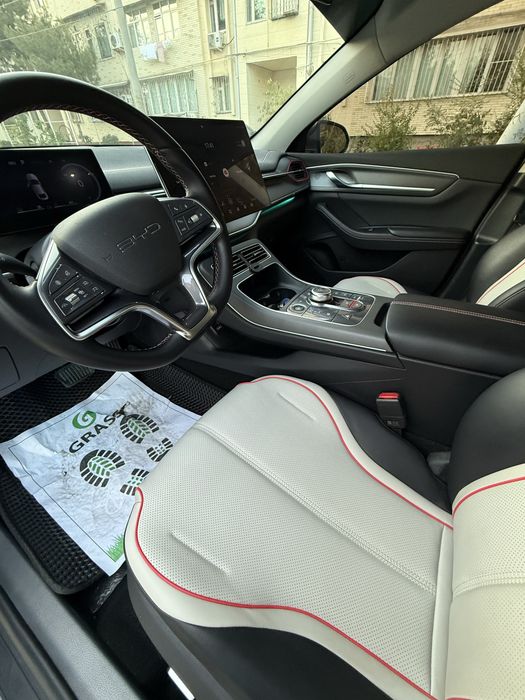 BYD Chazor Full 120 km 2023/24