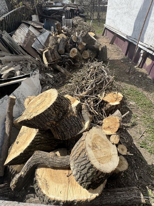 Продается ДРОВА клен