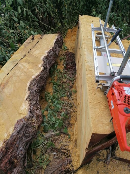 Бичене на трупи .