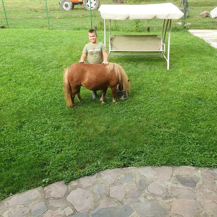 Se vinde ponel cu caruta