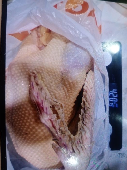 Продам Домашнее мясо