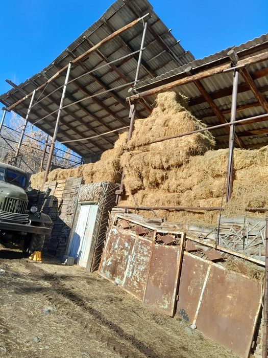 Продам сено горное