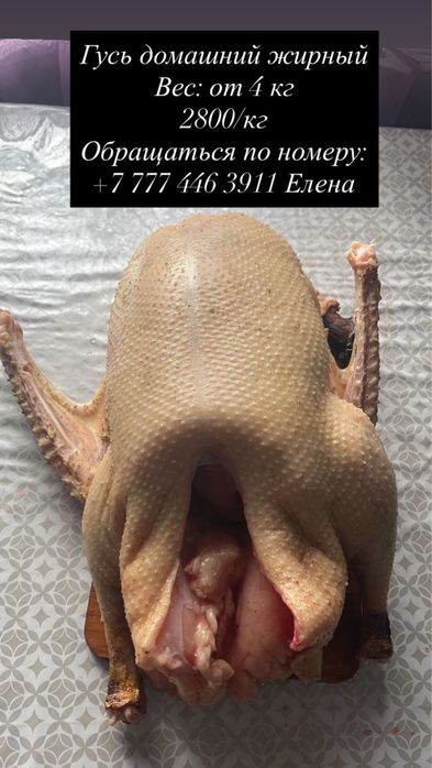 Продам мясо гуся