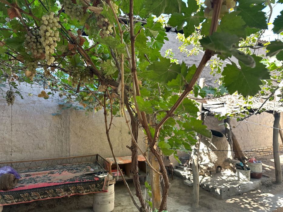 урганч шахар жамбул махалласида уй сотилади мустакиллик 12 пр3