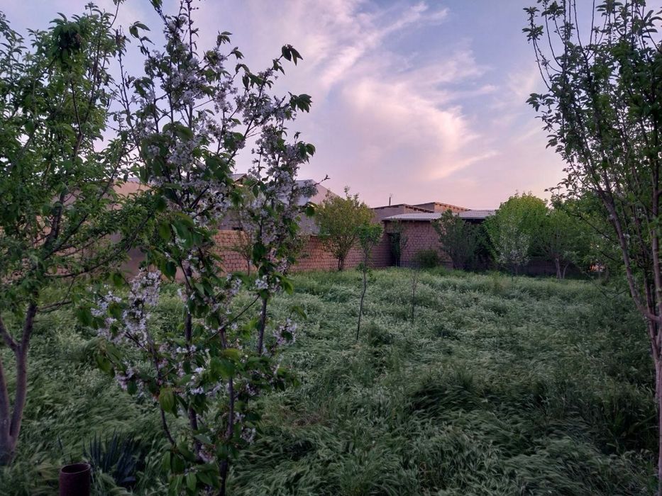 Hovli sotiladi Yangibog