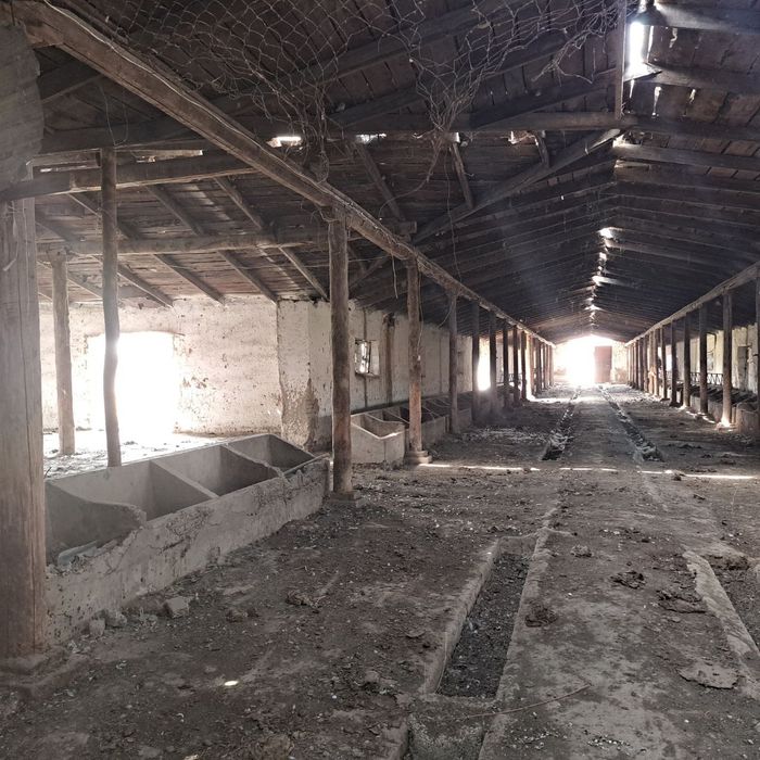 Молхона ижарага йоки сотилади
