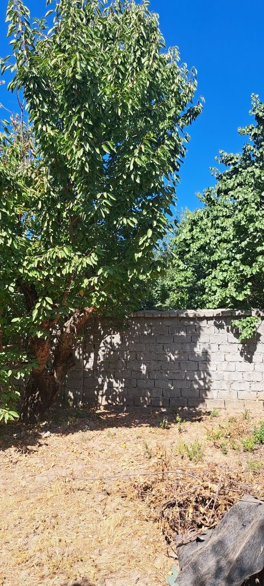 Дача 300 м от дороги Навбахор. Вода есть Рядом Паркент Янгибазар Топ
