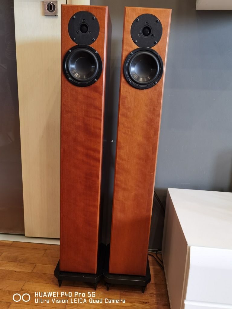 Тонколони Totem acoustic arro