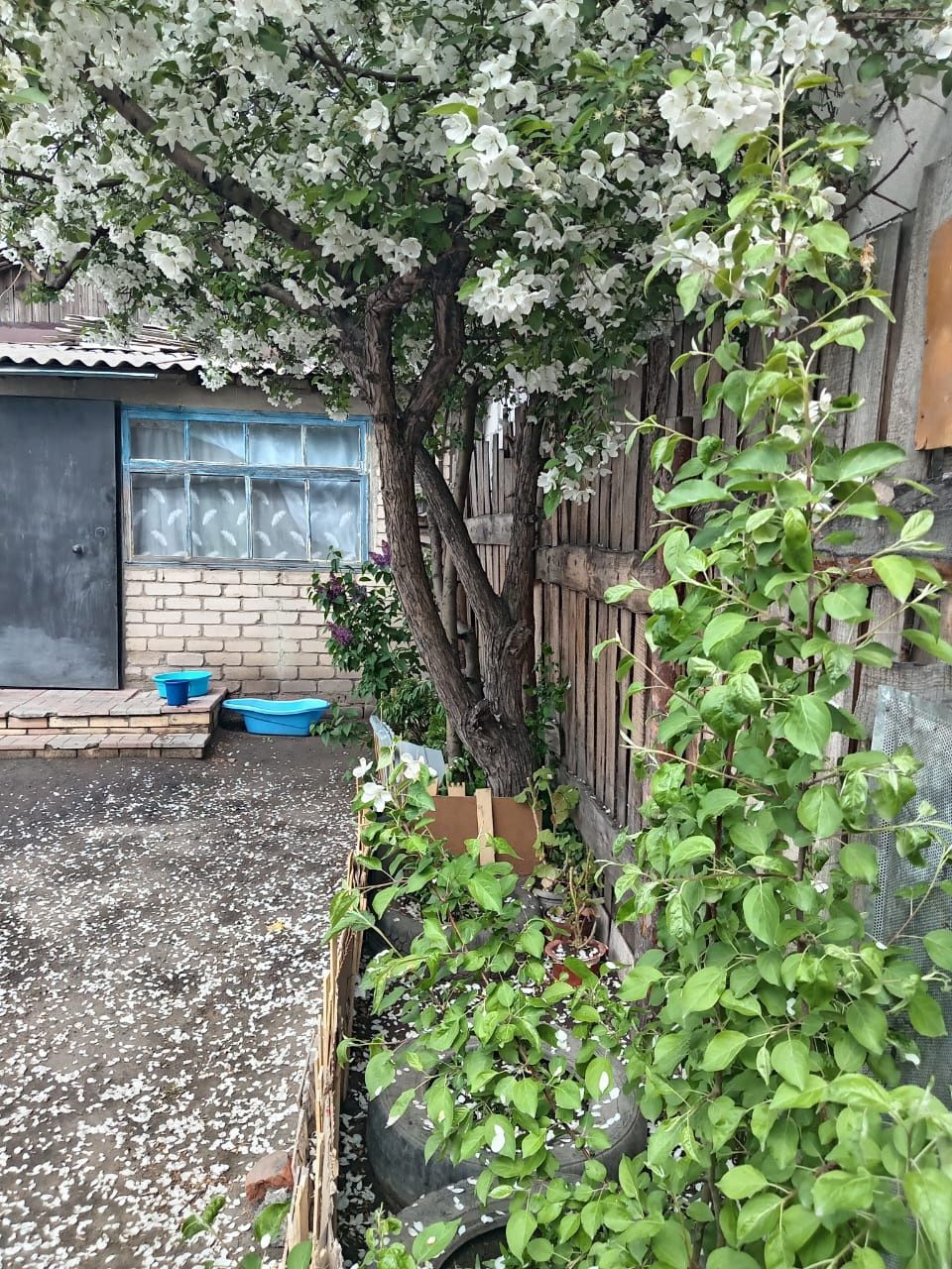 Продам дом  Костанай  п.тобыл срочно