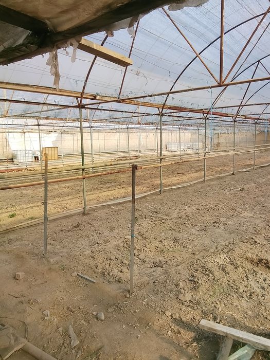 Теплица сотилади теплица сотилади теплица сотилади теплица сотилади