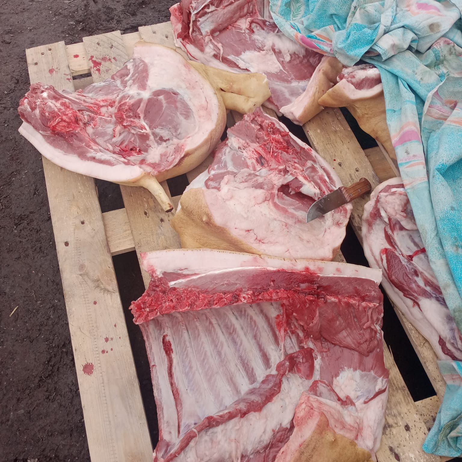 Продам Мясо свинины