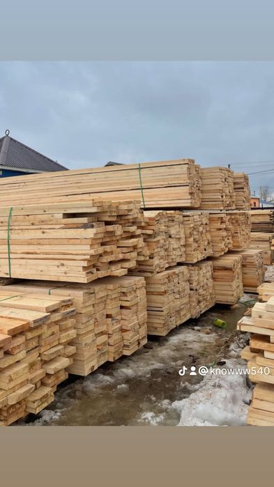 Ағаш. Лес. Профлист